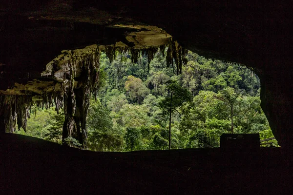 Ingresso Della Grande Grotta Nel Parco Nazionale Niah Malesia — Foto Stock