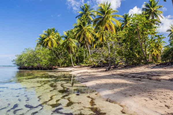 Playa Las Terrenas República Dominicana — Foto de Stock