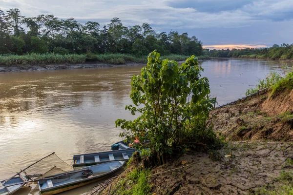 Kinabatangan Nehrinin Akşam Manzarası Sabah Malezya — Stok fotoğraf