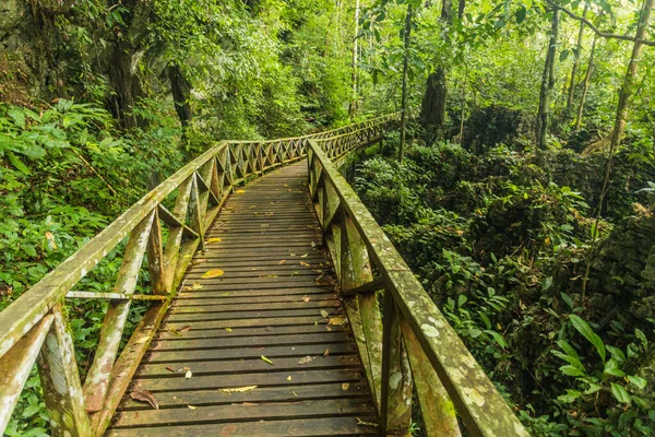 Boardwalk Niah Nationalpark Borneo Island Malaysia — Stockfoto