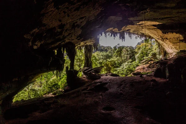 马来西亚尼亚国家公园大洞的入口 — 图库照片