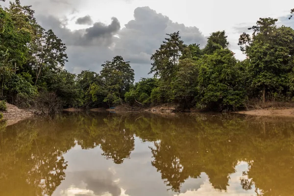 Sungai Lokan Arroyo Cerca Del Río Kinabatangan Sabah Malasia —  Fotos de Stock