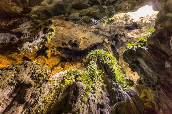 Interior Cuevas Hadas Estado Sarawak Malasia — Foto de Stock