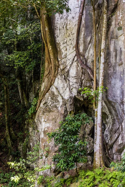 Rotsachtige Klif Bij Fairy Caves Sarawak Maleisië — Stockfoto