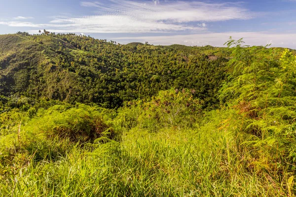Landschaft Der Halbinsel Samana Dominikanische Republik — Stockfoto