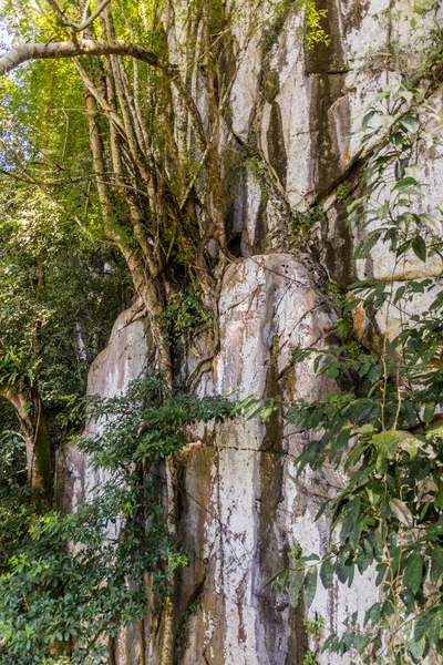 Falaise Rocheuse Près Des Grottes Fées Dans État Sarawak Malaisie — Photo