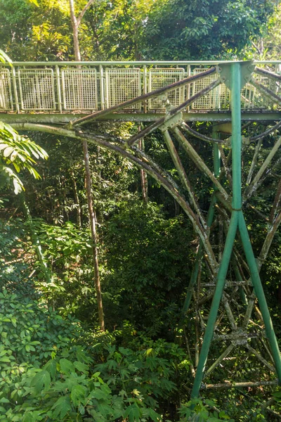 Pont Observation Canopée Dans Rainforest Discovery Centre Sepilok Sabah Malaisie — Photo