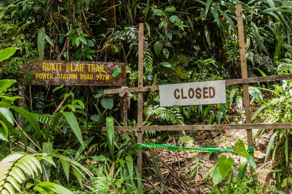 Geschlossener Wanderweg Wald Des Kinabalu Parks Sabah Malaysia — Stockfoto