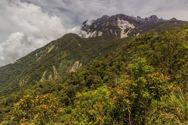Veduta Del Monte Kinabalu Sabah Malesia — Foto Stock