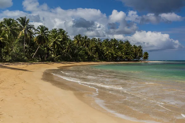 Pláž Las Terrenas Dominikánská Republika — Stock fotografie