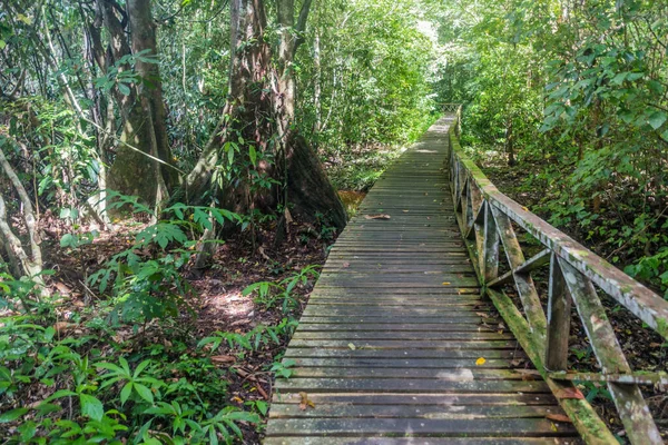 Paseo Marítimo Parque Nacional Niah Isla Borneo Malasia — Foto de Stock