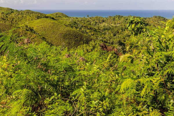 Landschaft Der Halbinsel Samana Dominikanische Republik — Stockfoto