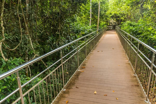 Pasarelas Del Centro Conservación Del Oso Sol Borneano Sepilok Sabah — Foto de Stock