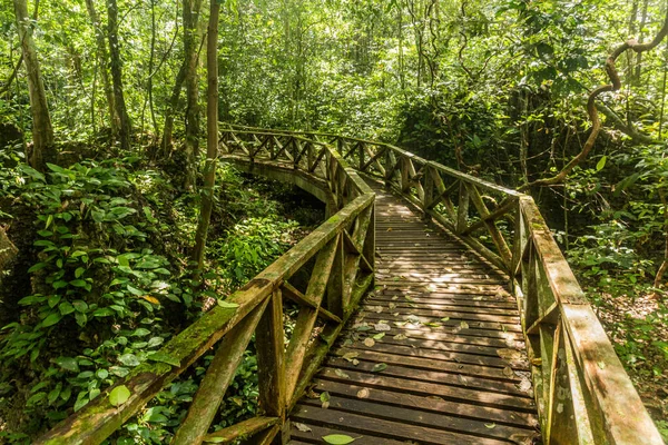 stock image Boardwalk in Niah national park on Borneo island, Malaysia