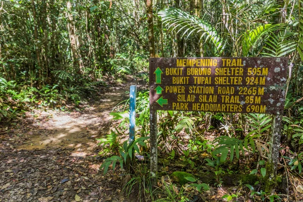Kinabalu Park, Sabah, Malezya 'da bir ormanda yönetim kurulu.