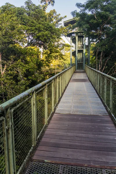 Himmelsbeobachtungsturm Rainforest Discovery Centre Sepilok Sabah Malaysia — Stockfoto