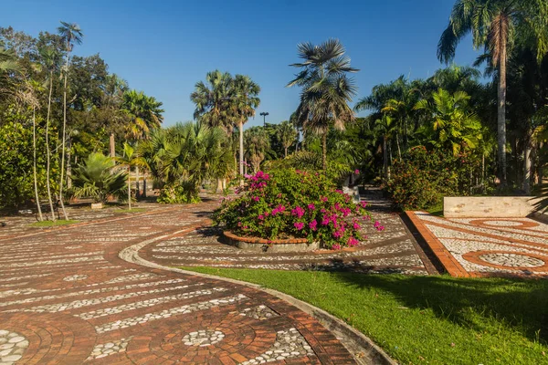 Nationaler Botanischer Garten Santo Domingo Hauptstadt Der Dominikanischen Republik — Stockfoto