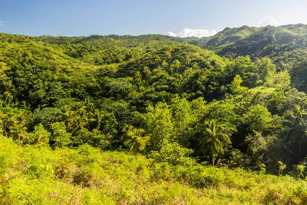Paisaje Península Samaná República Dominicana — Foto de Stock