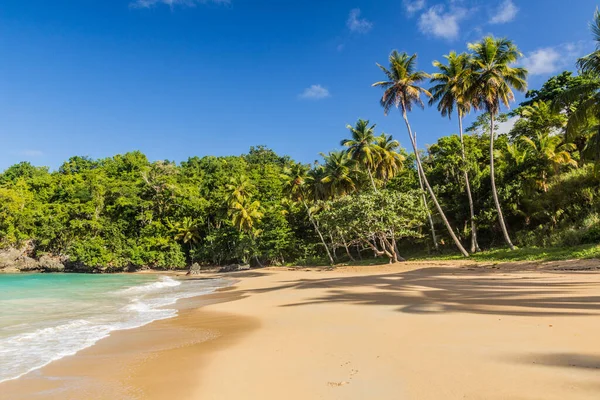 Playa Las Galeras República Dominicana — Foto de Stock