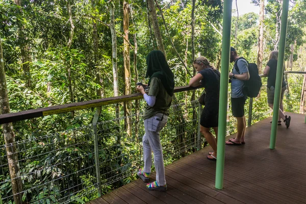 Sepilok Malaysia Februar 2018 Besucher Des Bornean Sun Bear Conservation — Stockfoto