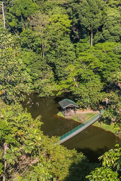 Luftaufnahme Eines Regenwaldes Sepilok Sabah Malaysia — Stockfoto