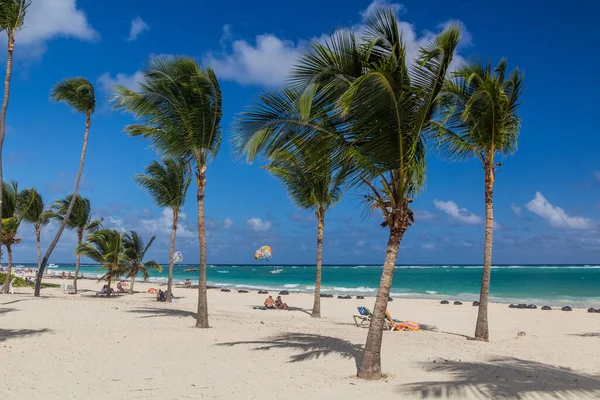 Punta Cana Repubblica Dominicana Dicembre 2018 Palme Sulla Spiaggia Bavaro — Foto Stock