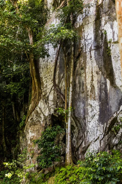 Rotsachtige Klif Bij Fairy Caves Sarawak Maleisië — Stockfoto