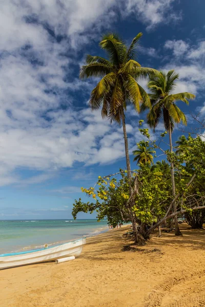 Spiaggia Las Terrenas Repubblica Dominicana — Foto Stock