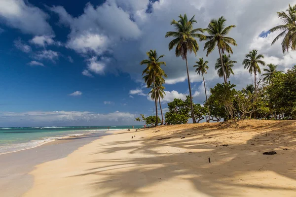 도미니카 공화국 나스의한 해변에 — 스톡 사진