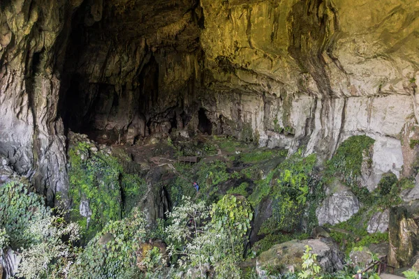 马来西亚沙捞越州神仙洞穴的内部 — 图库照片