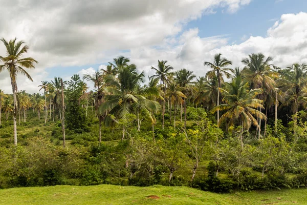 Landscape Central Dominican Republic — Stock Photo, Image