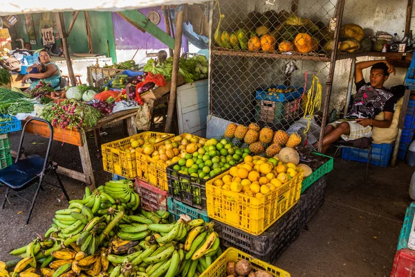 Puerto Plata Dominikanska Republiken December 2018 Frukt Och Grönsaker Bås — Stockfoto