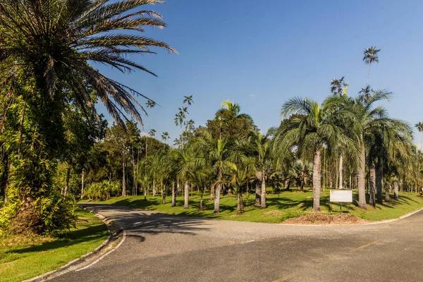 Nationaler Botanischer Garten Santo Domingo Hauptstadt Der Dominikanischen Republik — Stockfoto