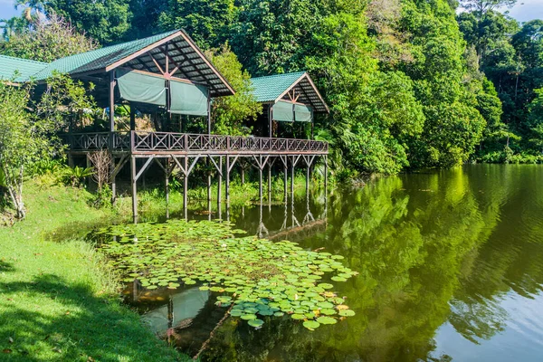 Lake Rainforest Discovery Centre Sepilok Sabah Malaysia — Stock Photo, Image