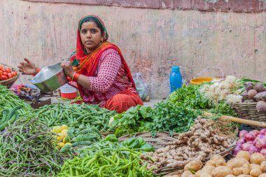 UDAIPUR, Hindistan - 14 Şubat 2017: Udaipur, Rajasthan Eyaleti, Hindistan 'da sebze satıcısı