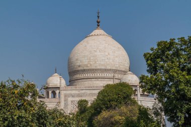 Hindistan, Agra 'daki Taj Mahal Kubbesi