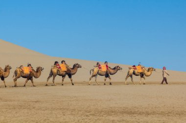 Çin 'in Gansu Eyaleti, Dunhuang yakınlarındaki Singing Sands Dune' da turist gezintisi için develer