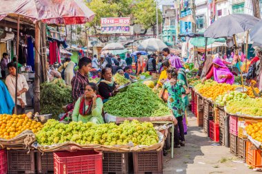 UDAIPUR, Hindistan - 14 Şubat 2017: Udaipur, Rajasthan Eyaleti, Hindistan 'da meyve ve sebze pazarı