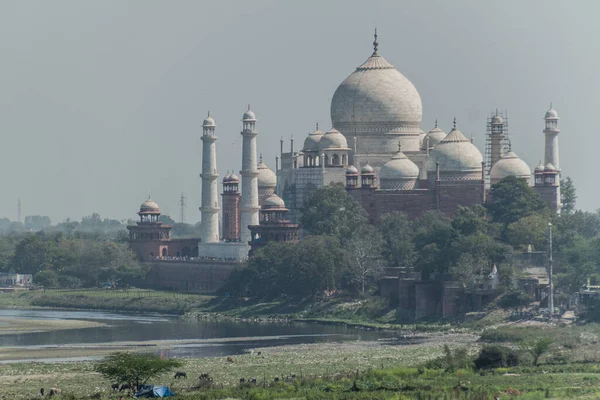 Taj Mahal, Agra Kalesi, Uttar Pradesh Eyaleti, Hindistan