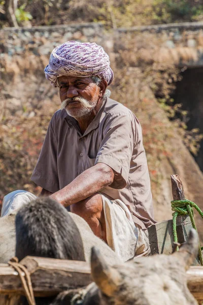 Ranakpur India Februari 2017 Lokale Man Werkt Met Een Zebu — Stockfoto