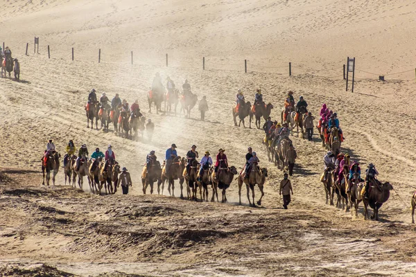 Dunhuang Čína Srpna 2018 Turisté Jezdí Velbloudech Zpívající Písečné Duně — Stock fotografie