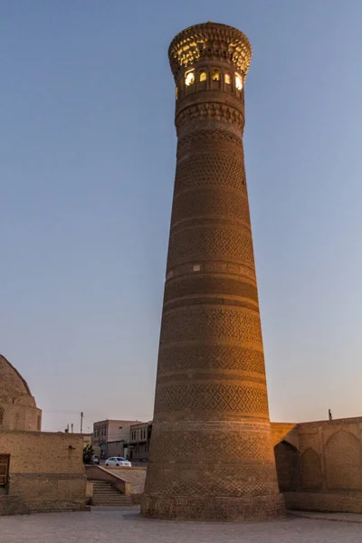 Vista Nocturna Del Minarete Kalan Bujará Uzbekistán — Foto de Stock