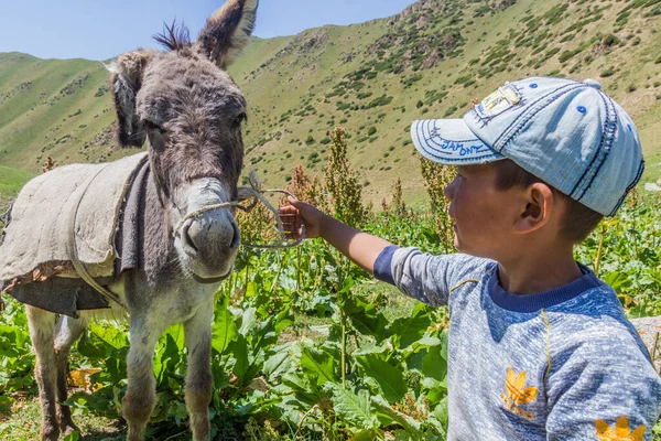 Song Kul Kyrgyzstan Června 2018 Místní Kočovník Oslem Jezera Song — Stock fotografie