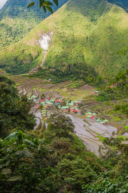 Batad pirinç teraslarının havadan görünüşü, Luzon Adası, Filipinler