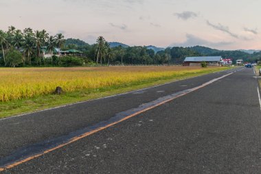 Filipinler 'deki Bohol Adası' nın akşam manzarası