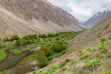 Tacikistan 'ın Pamir dağlarındaki Jisev (Jizev veya Jizeu) vadisi