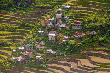 Batad pirinç teraslarındaki köy, Luzon Adası, Filipinler