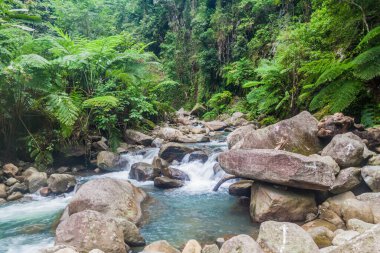 Valencia 'daki Casaroro Şelalesi yakınlarındaki Negros Adası, Filipinler