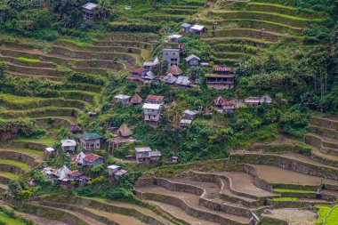 Batad pirinç teraslarındaki köy, Luzon Adası, Filipinler