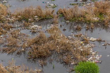 İran 'ın Zanja Rud nehrindeki plastik çöpler.